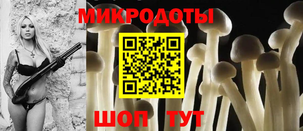Бугуруслан  Галлюциногенные грибы Psilocybe  Вход с VPN 