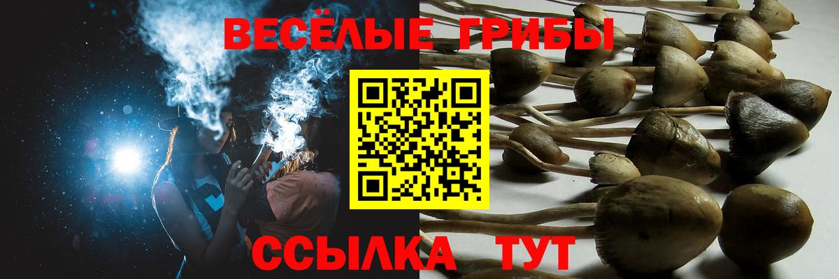 Галлюциногенные грибы мухоморы Бугуруслан